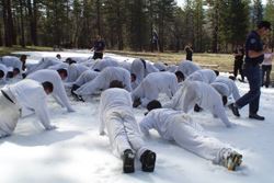 People doing pushups during Boot Camp