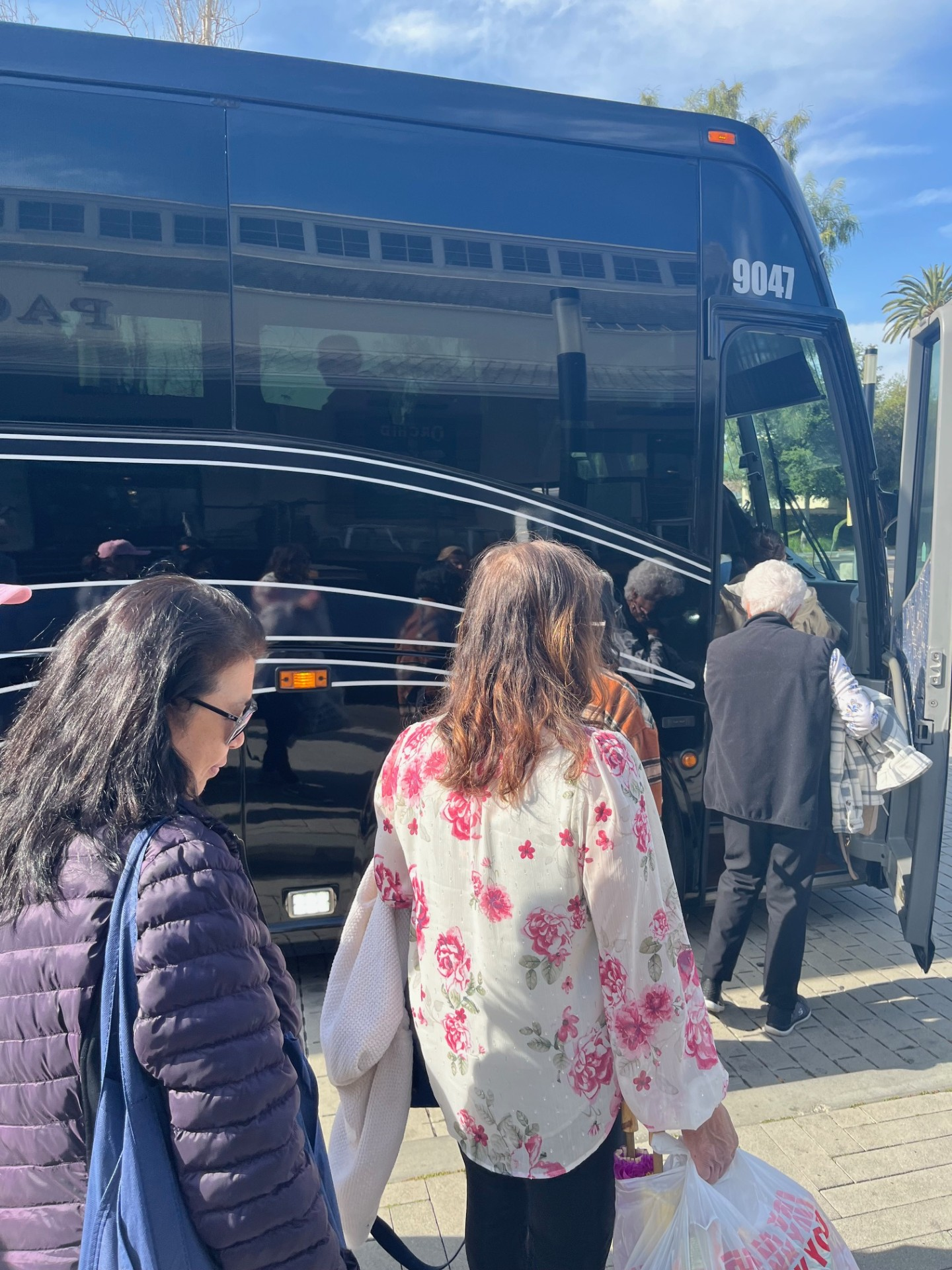 senior outing 2 picture